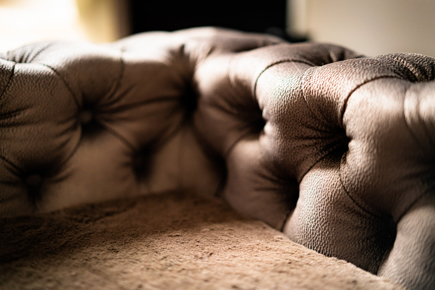 Deep button-tufted luxury dog sofa interior