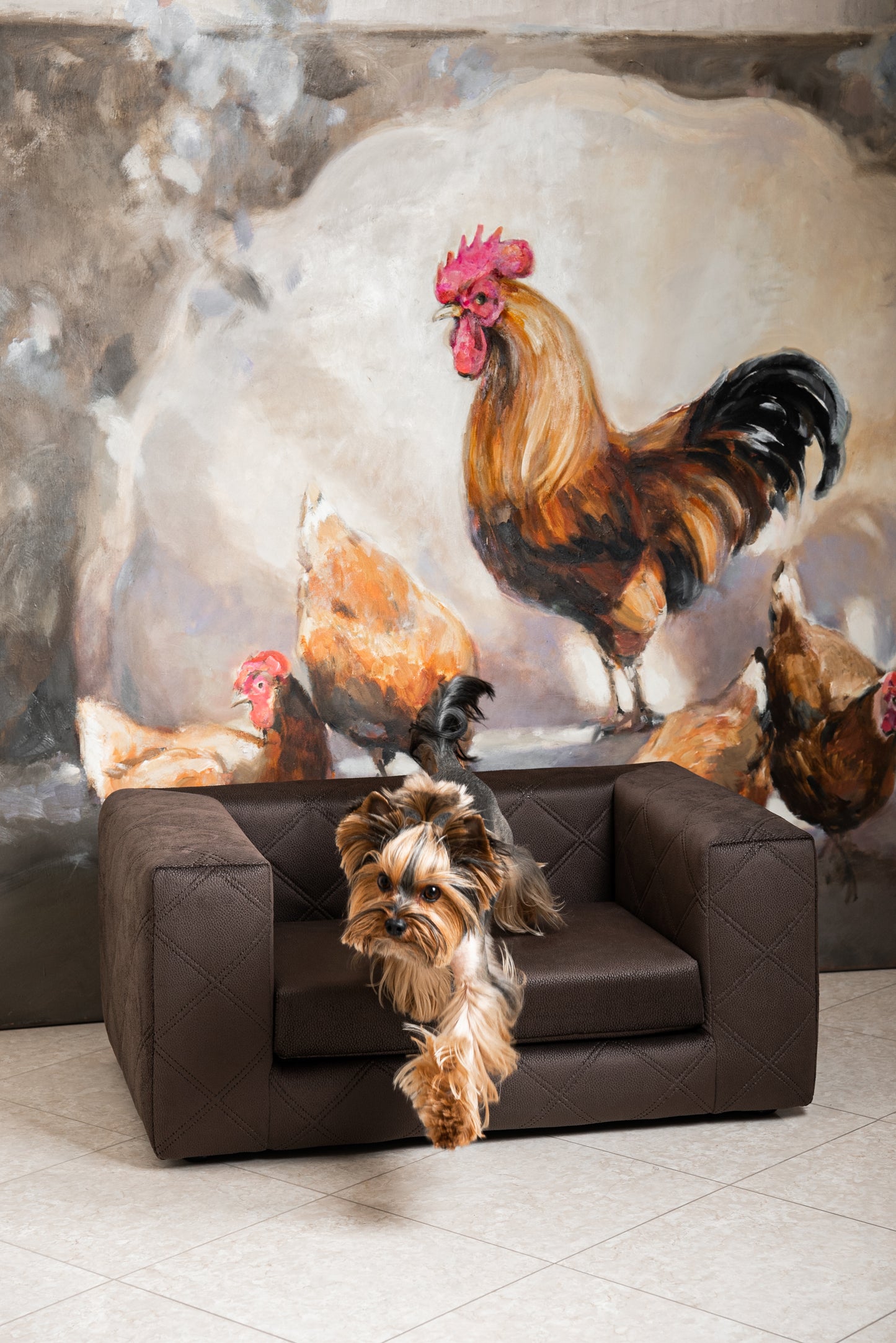 MYSTIQUE Pet Sofa