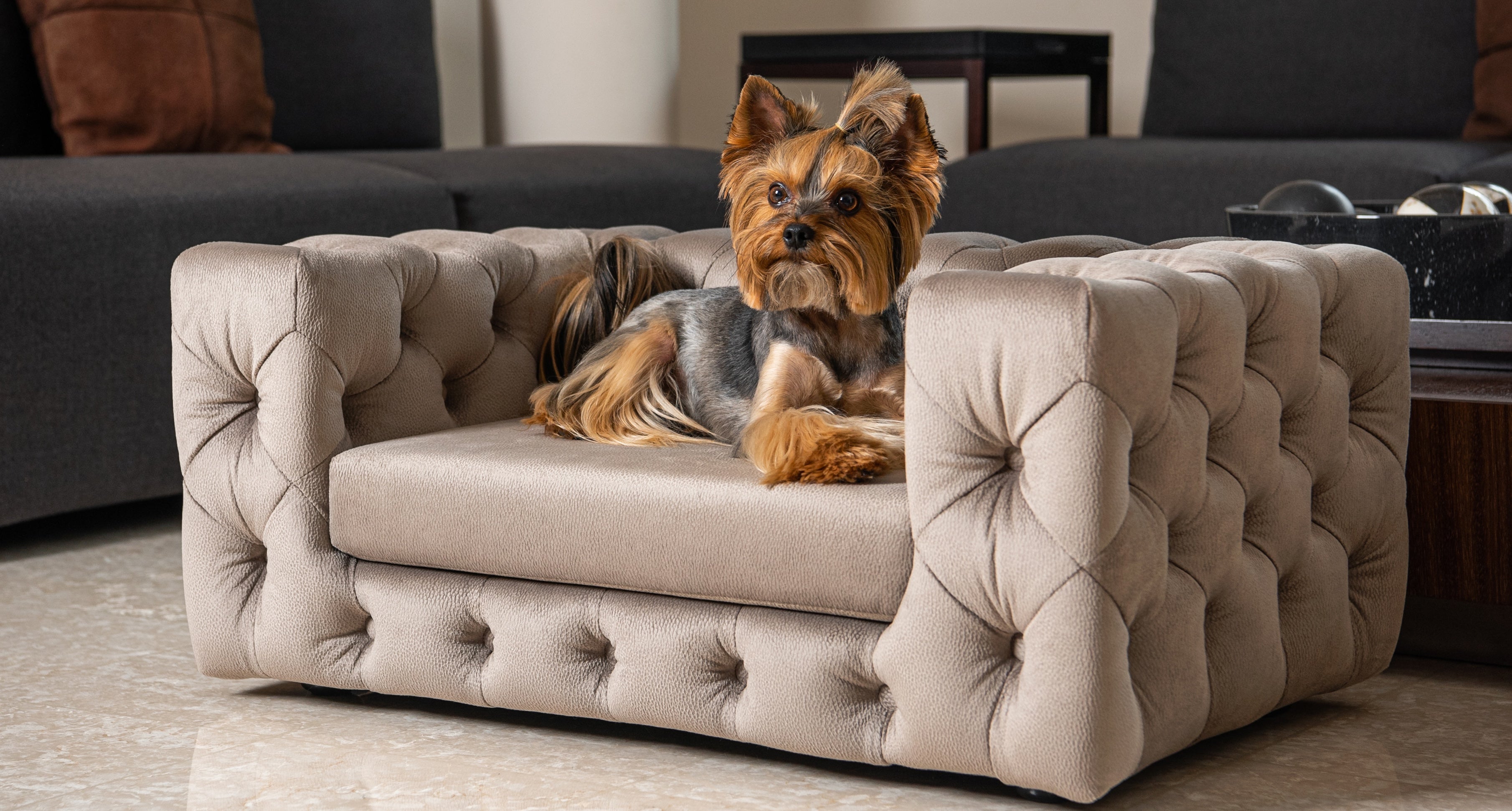 Luxury Dog Beds