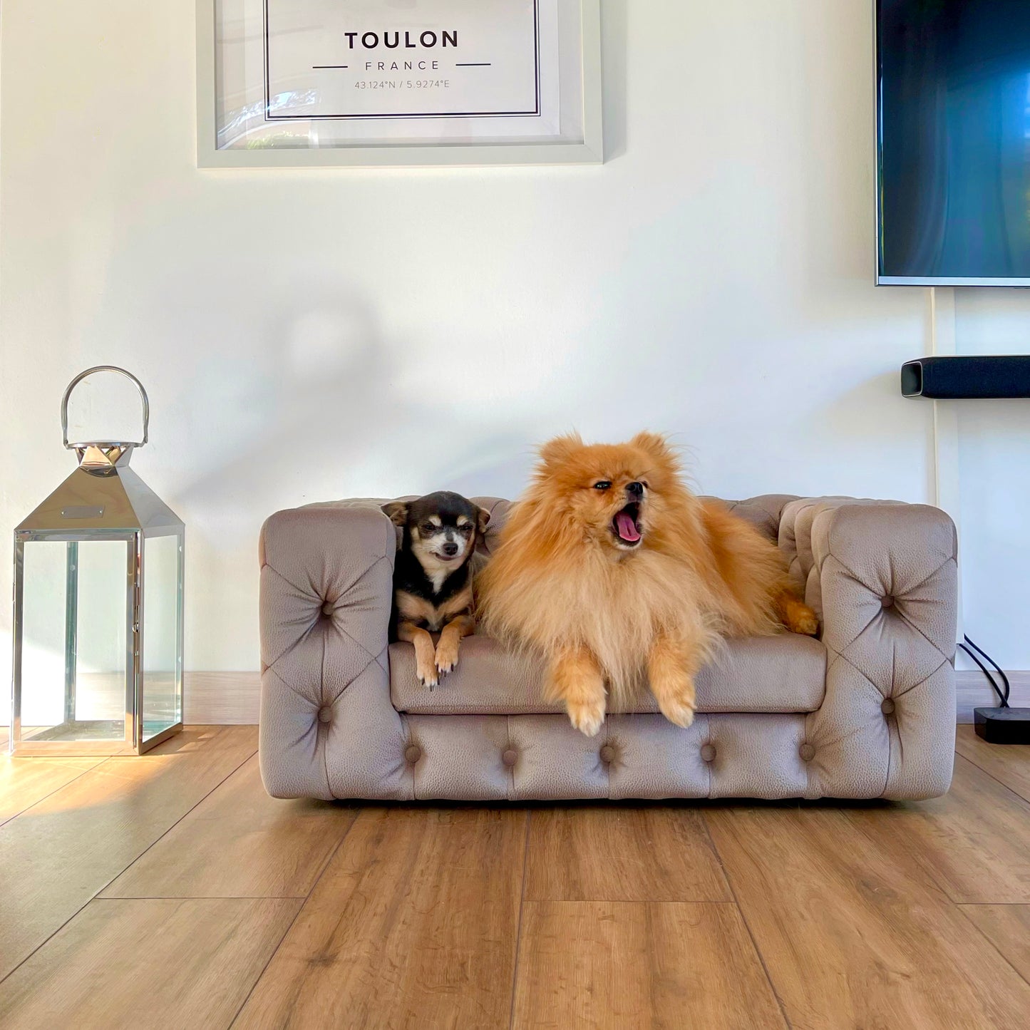 GLAMOUR Pet Sofa