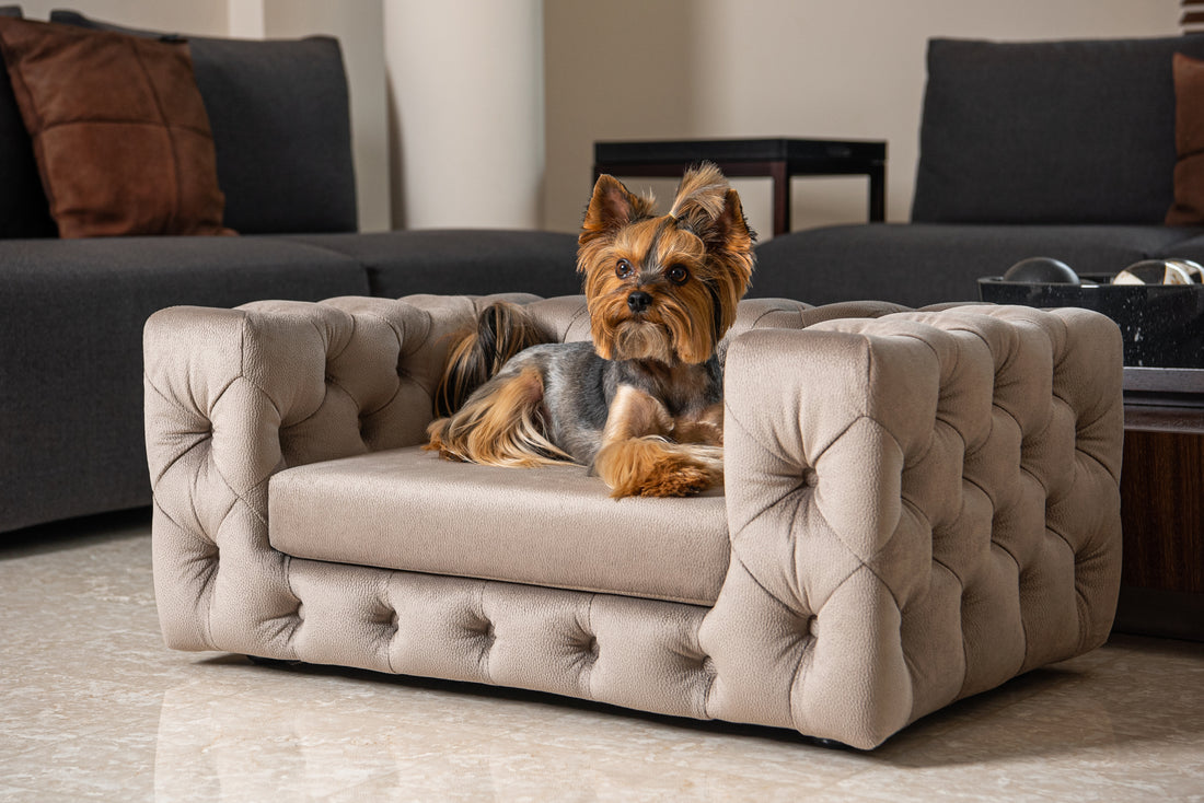 LUXURY PET BEDS - WHY IS IT A SENSIBLE CHOICE?