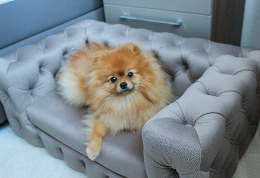 Luxury Dog bed