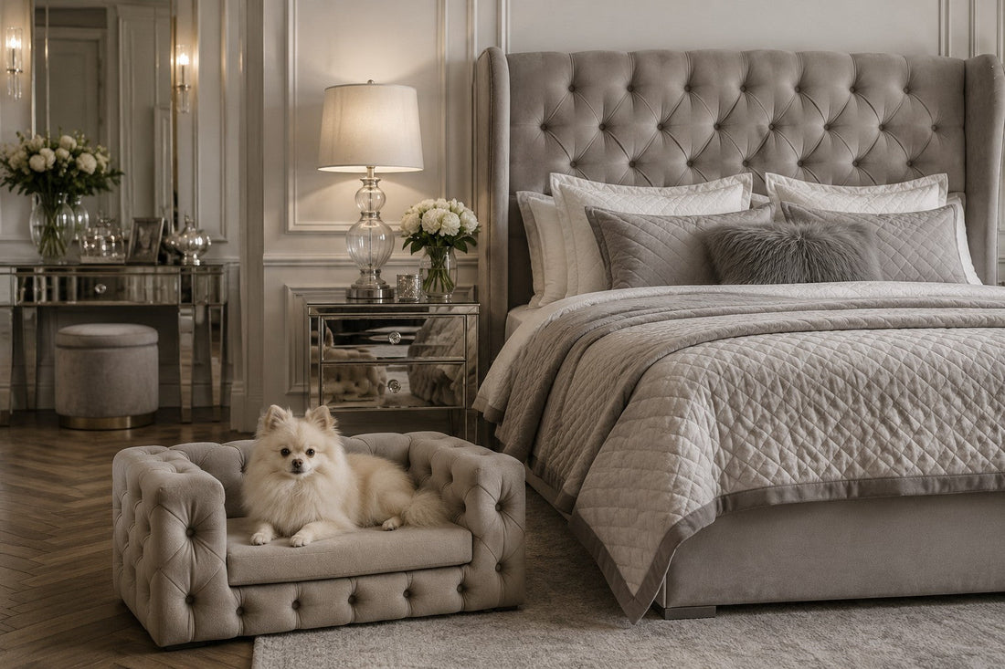 Luxury dog sofa creating a calm and secure sleeping space for dogs in a modern home