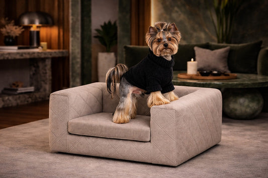 Luxury dog sofa in a modern high-end interior, designer dog furniture crafted with premium materials