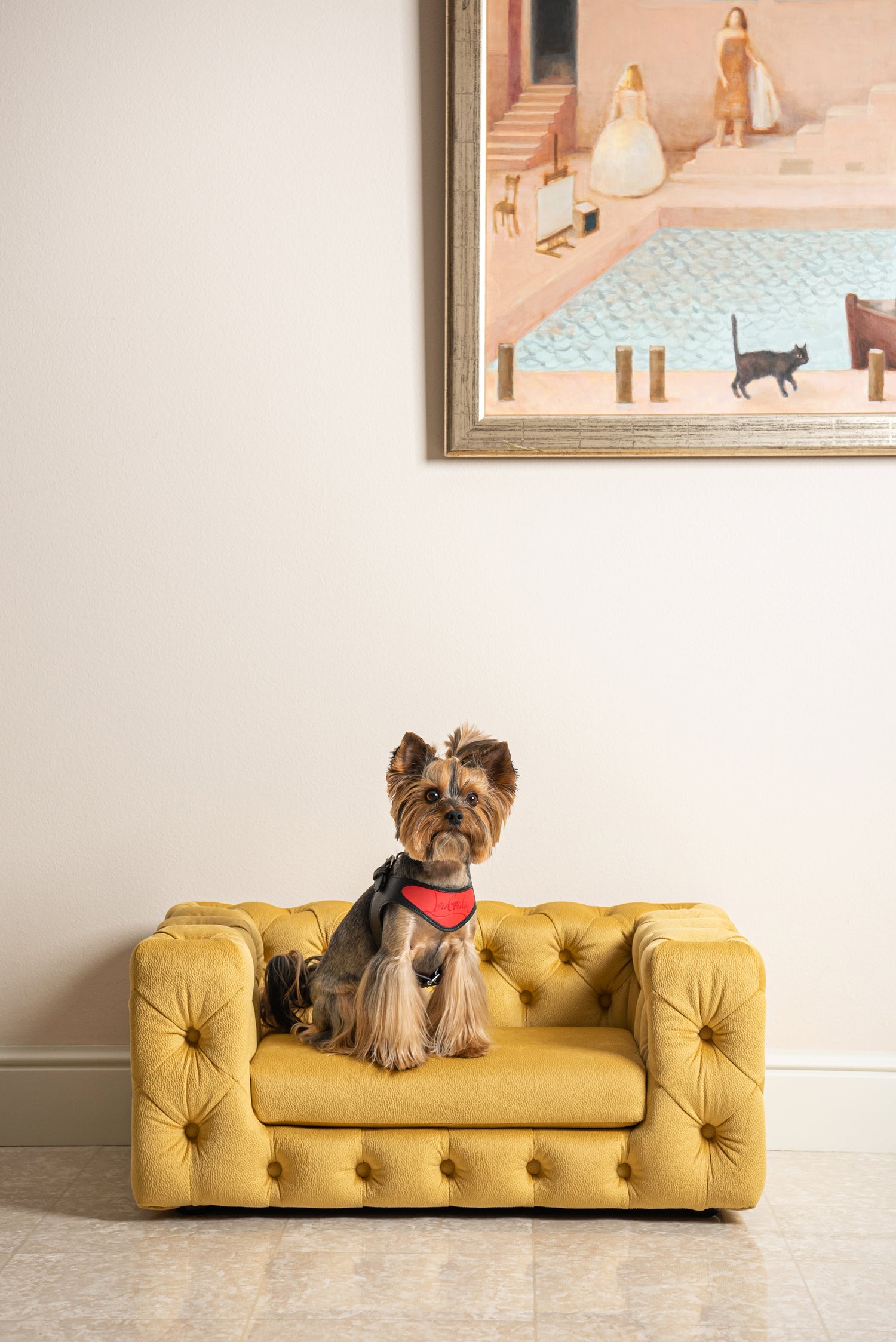 Buy Sofa For Pets
