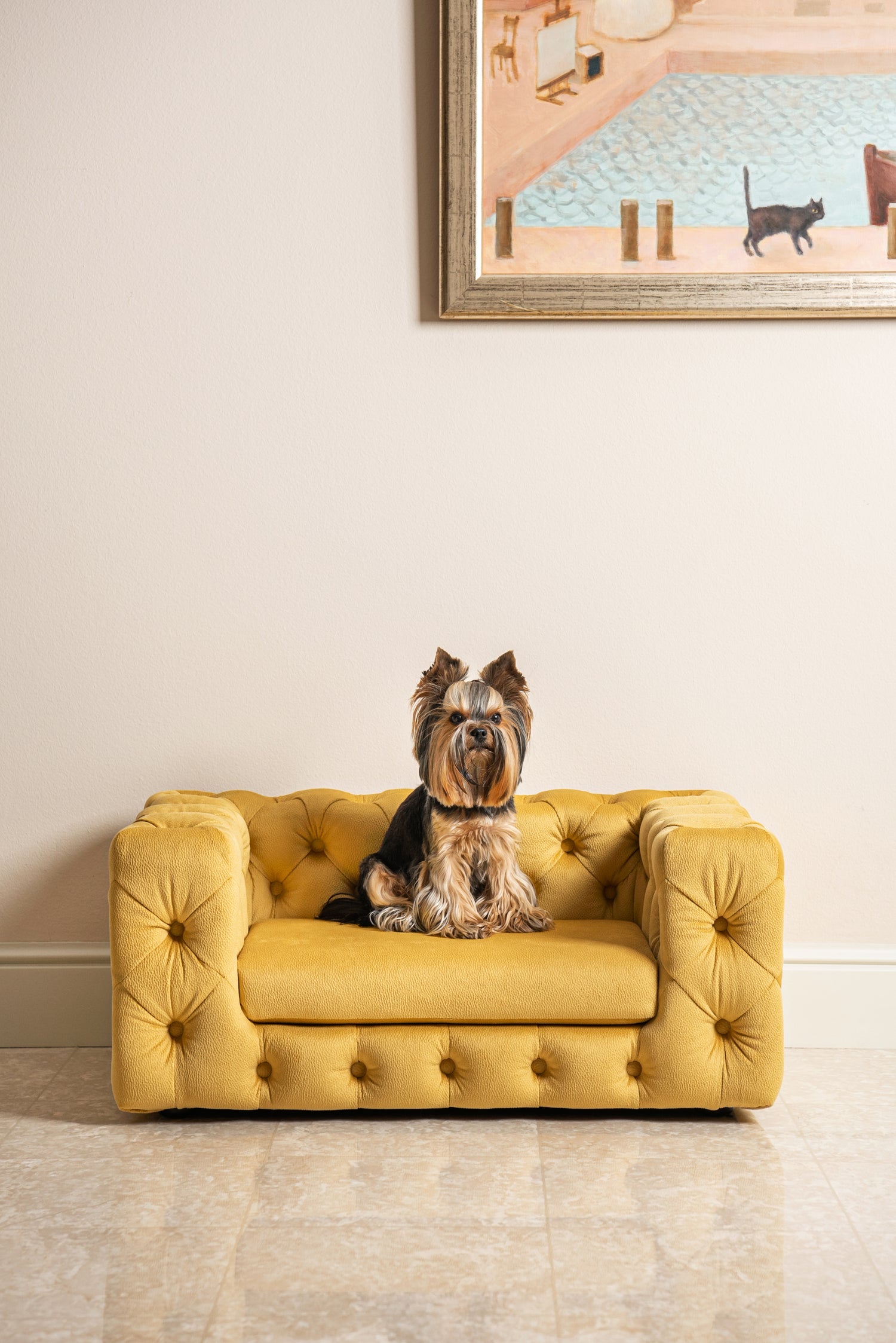 Online pet store The Pet Empire: luxury, design, sustainable - The Pet  Empire