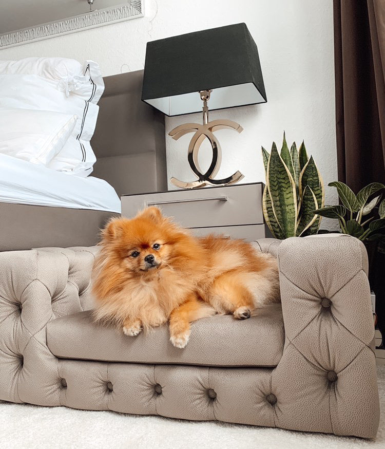 GLAMOUR Pet Sofa