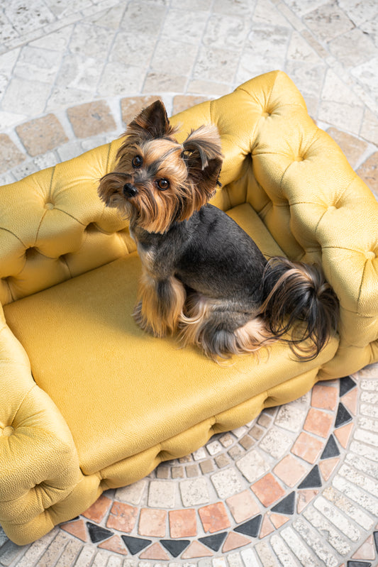 GLAMOUR Dog Sofa