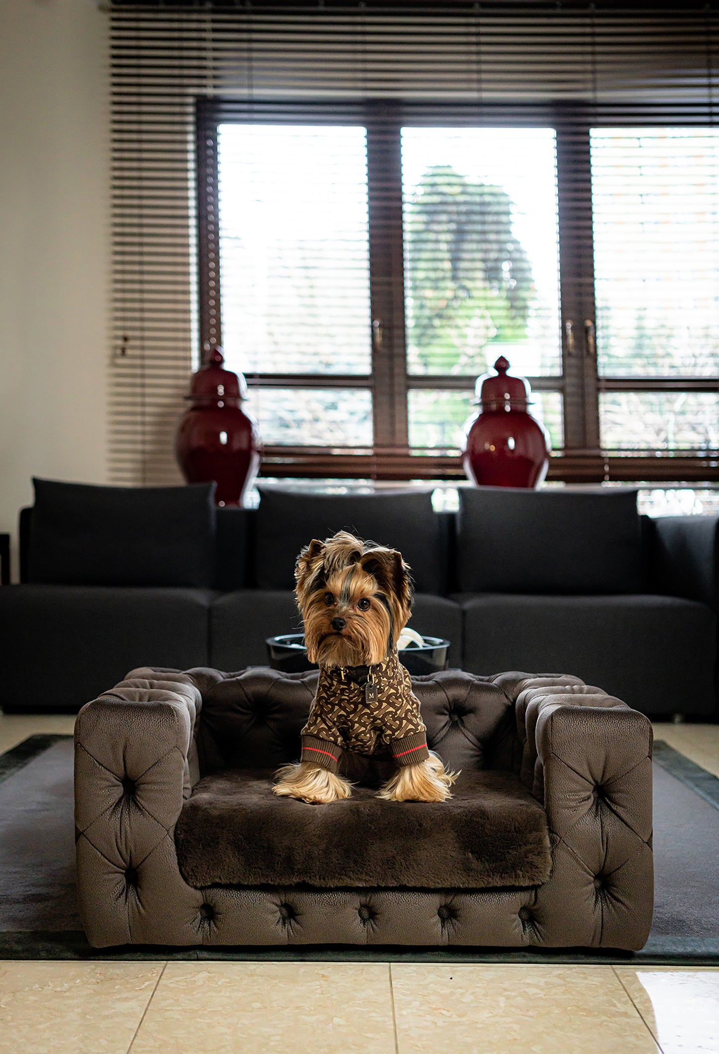 GLAMOUR Superweiches Haustiersofa (Limitierte Auflage) 