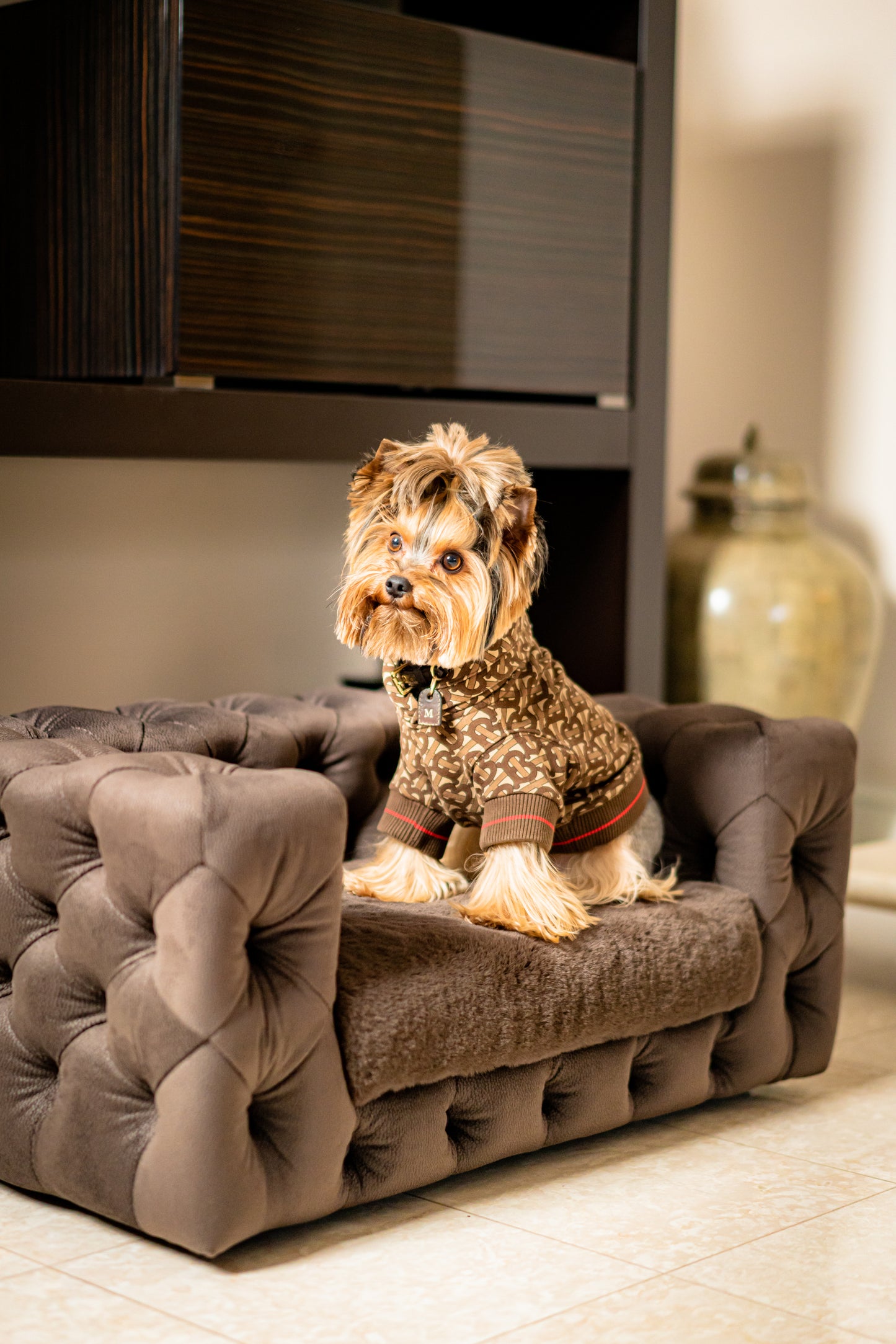 GLAMOUR Superweiches Haustiersofa (Limitierte Auflage) 