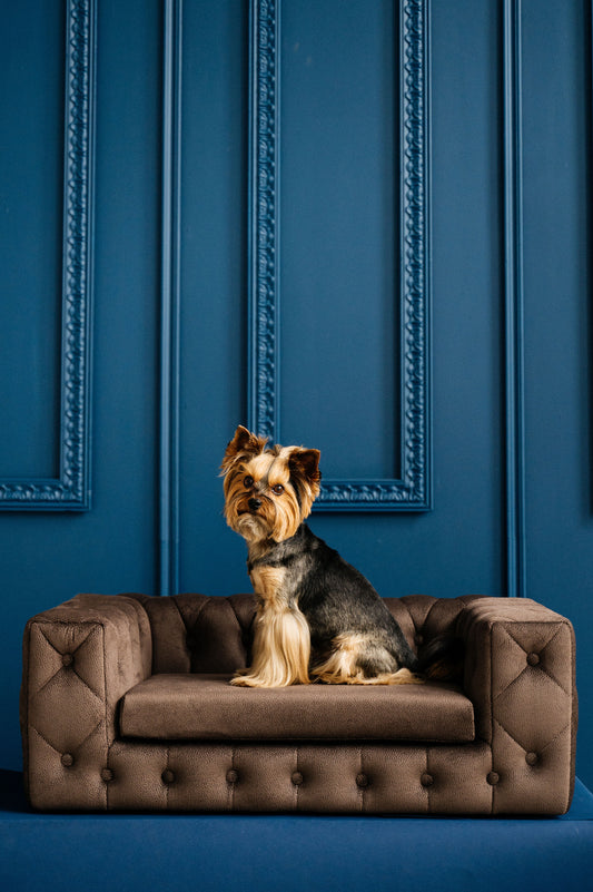 ROYAL Pet Sofa